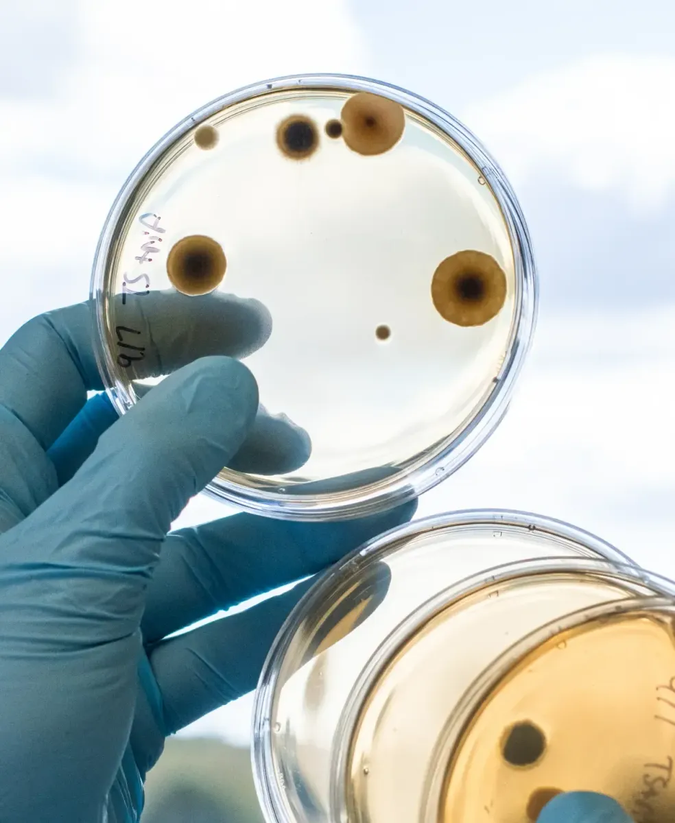 Turning science into substance